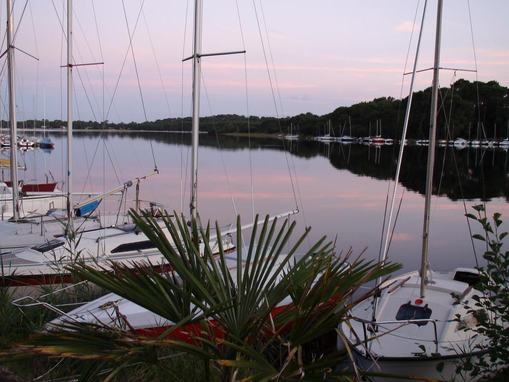 Studio Mansarde Climatise Les Roseaux Bord De Lac Biscarrosse Exterior foto